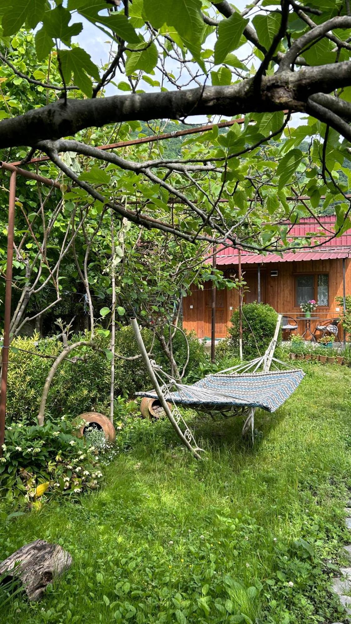 Ludwig Guesthouse ラゴデヒ エクステリア 写真