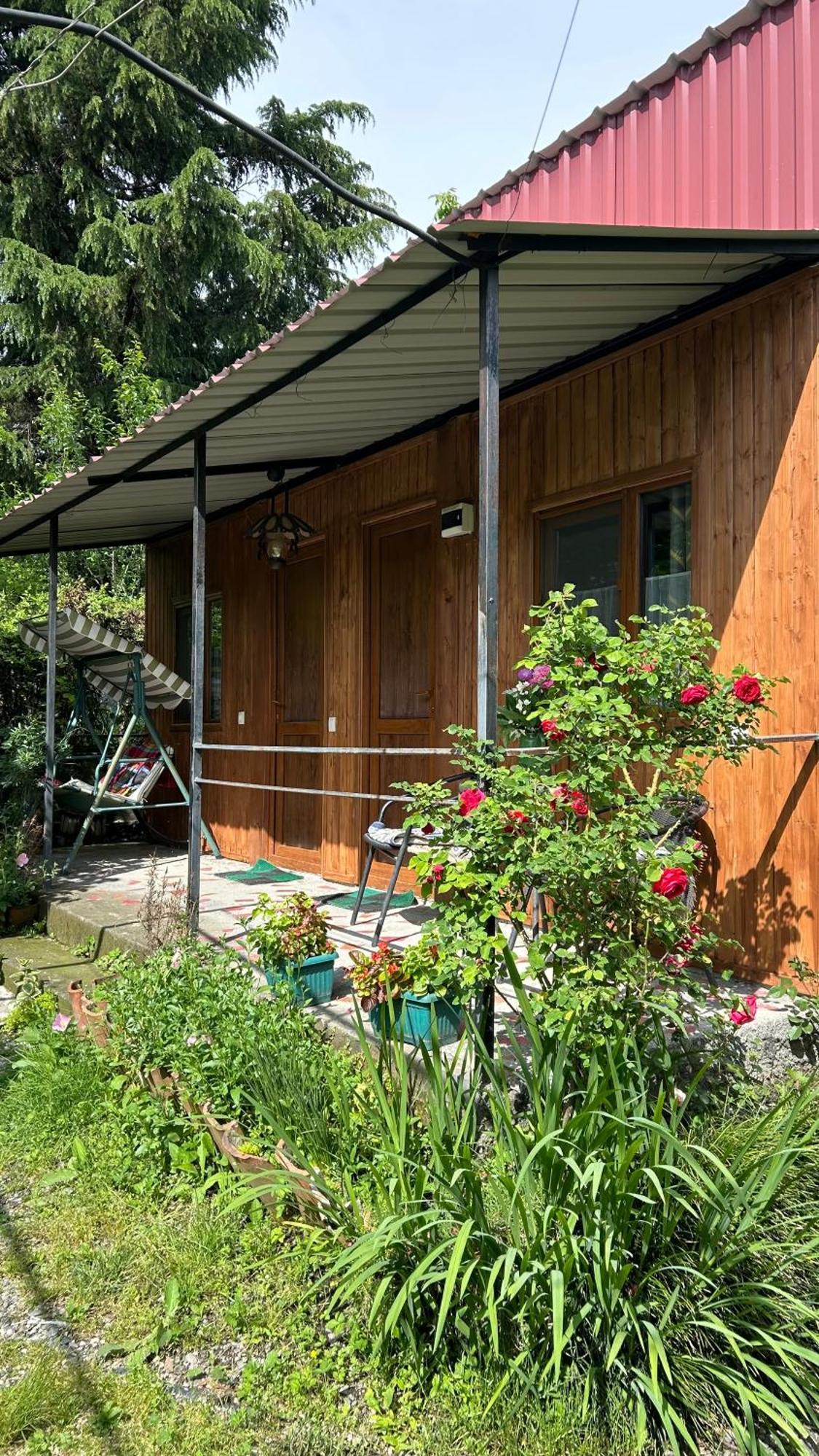 Ludwig Guesthouse ラゴデヒ エクステリア 写真