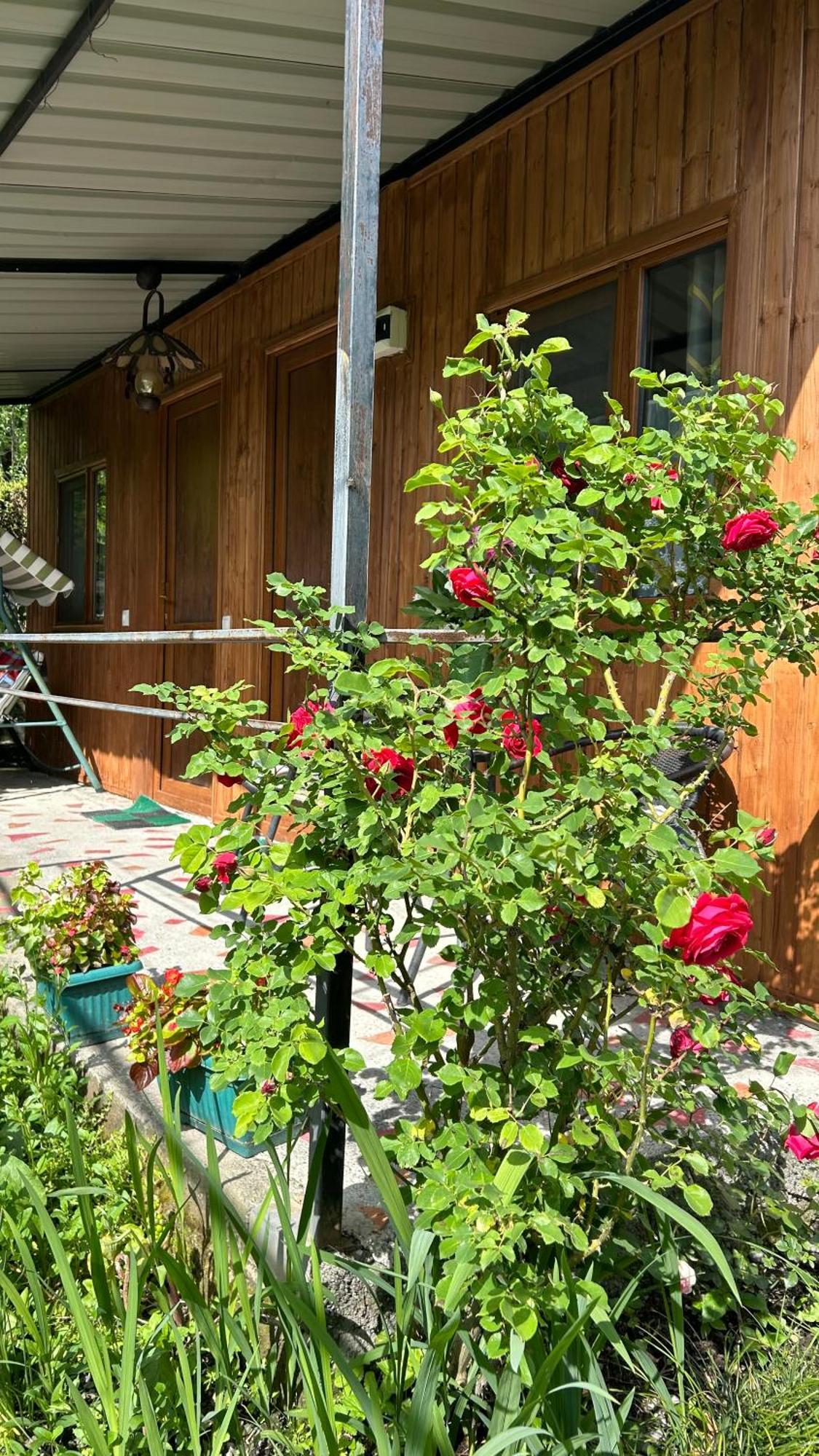 Ludwig Guesthouse ラゴデヒ エクステリア 写真