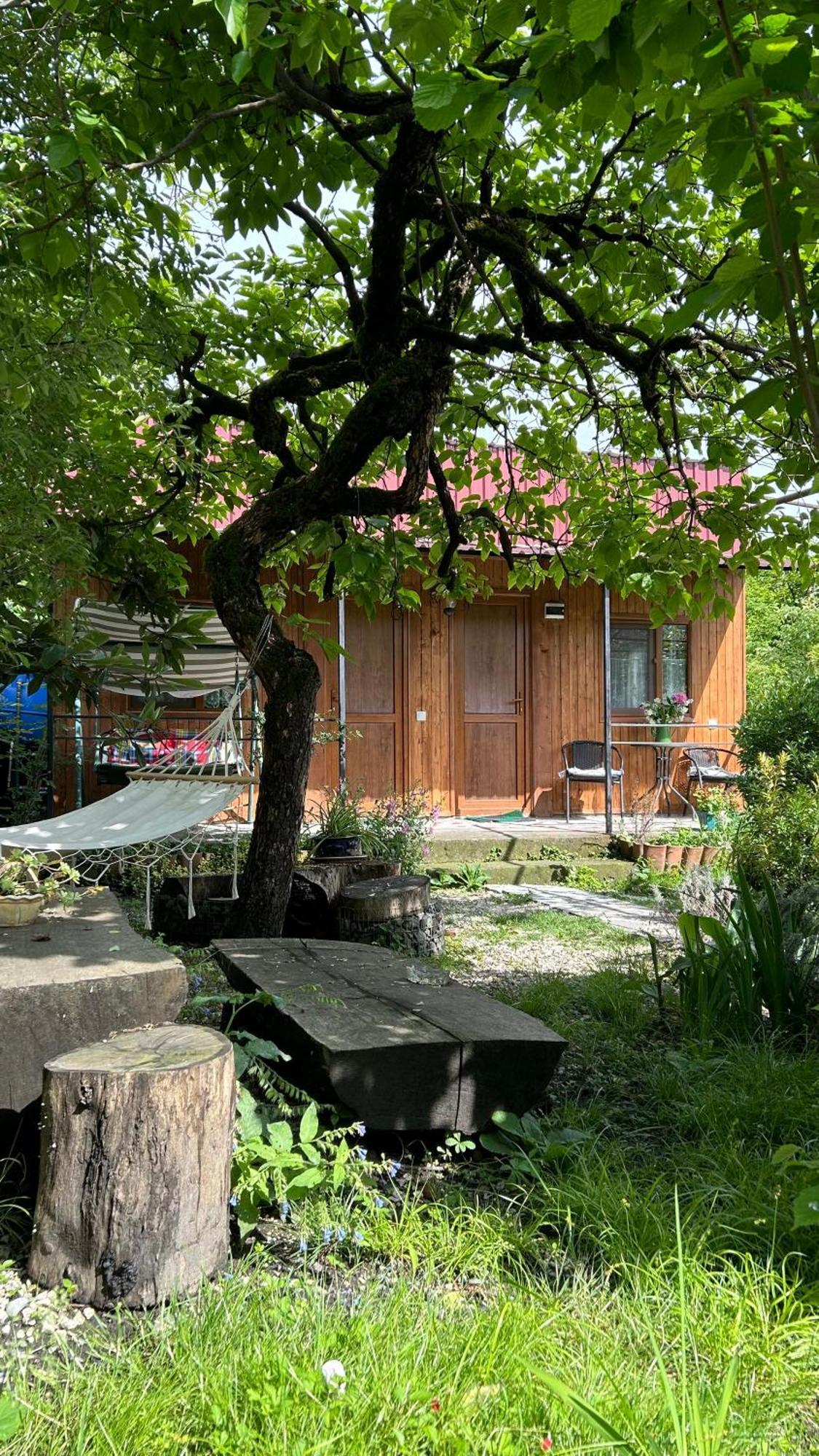 Ludwig Guesthouse ラゴデヒ エクステリア 写真